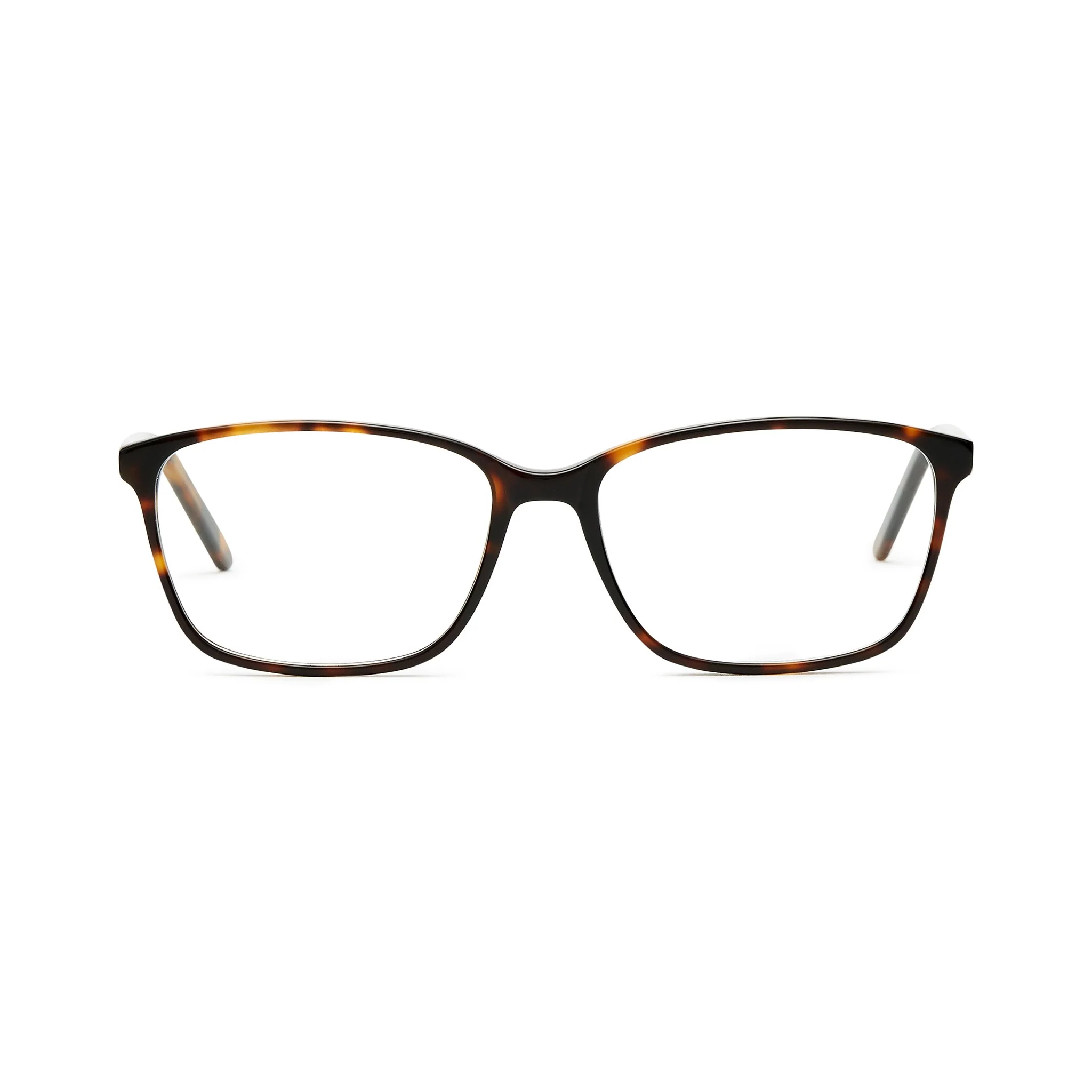 Bill Bass : Reema - Image 7